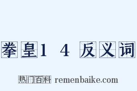 拳皇14反义词是什么意思的图片